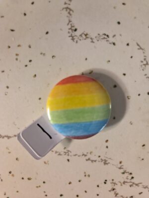 Mini Rainbow Pride Pin 25mm - Waterproof